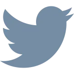 Twitter SVG Icon